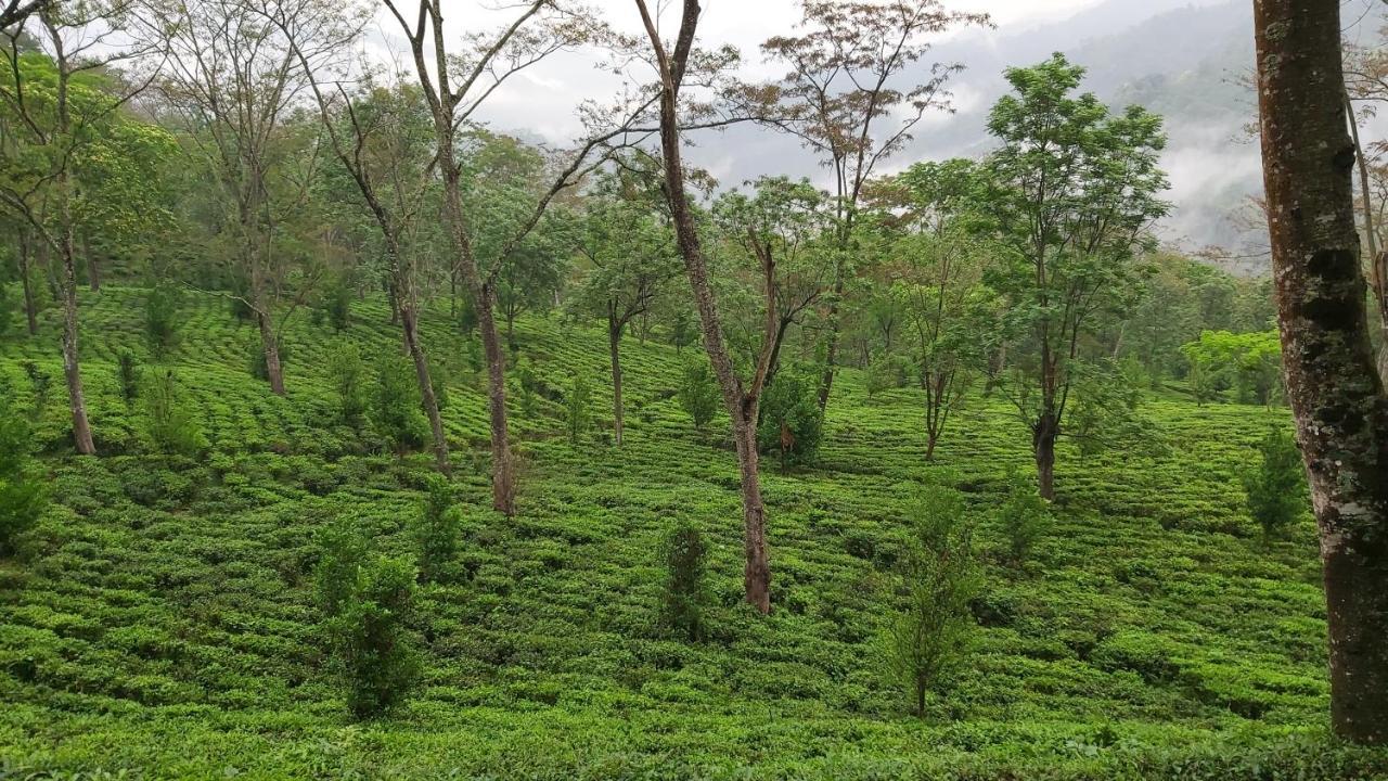 Eviana Homestay Darjeeling  Esterno foto