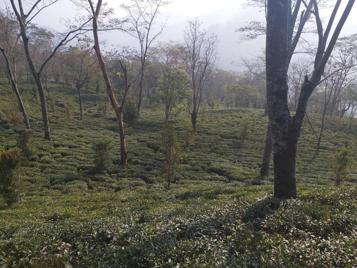 Eviana Homestay Darjeeling  Esterno foto