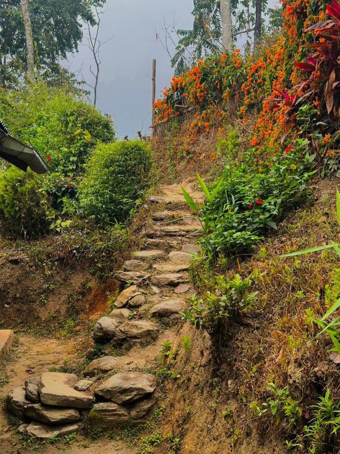 Eviana Homestay Darjeeling  Esterno foto