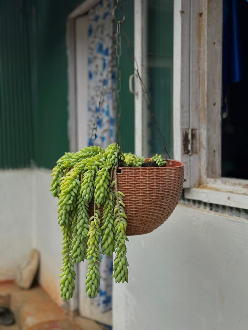 Eviana Homestay Darjeeling  Esterno foto