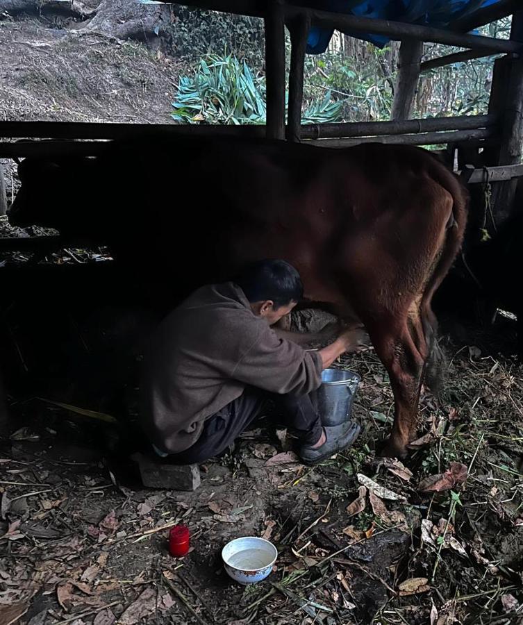 Eviana Homestay Darjeeling  Esterno foto