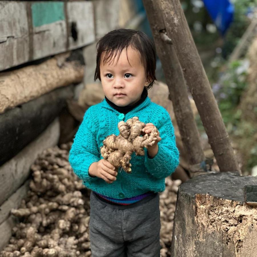 Eviana Homestay Darjeeling  Esterno foto